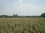 21862DSC08453.JPG