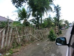 31014CIMG0876.JPG