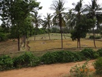 52233Tank ID 1800315 Vinobanagara 2.JPG