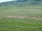 24199P1050636.JPG