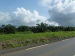 25460P1020305.JPG