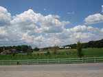32457p122.jpg