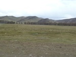 22324P1010463.JPG