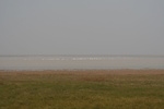 4499IMG_8558.jpg