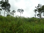 20548P1020405.JPG