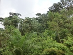 49820CIMG6157.JPG