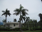 15770IMG_4859.JPG