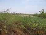 51933Tank ID 1800223 Tippapura 1.JPG