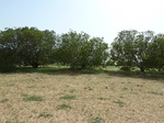 19137P1000982.JPG