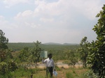 9280gt028a-shrubland-short.gif