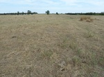 39310CHAN20110914GPS.JPG
