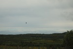 2023-11-13_14-12-15_84D8AE3F-14B1-49D2-87A0-C8AE72E49324.jpeg