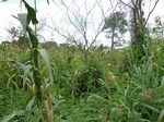 20047P1010898.JPG