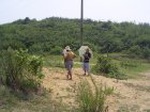 6172007-08-05_11-00-41_small.jpg