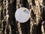 8600IMG_1225.JPG