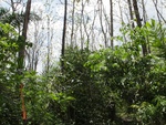 29549IMG_5162.JPG