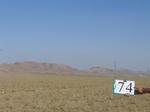 10214074-Scrubland-b.jpg
