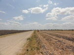 35673DSC02176.JPG