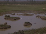 2806 029.jpg