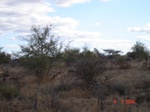 10874gt-081-wetland-seasonal-floodplain-02.jpg