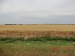 29827CIMG1252.JPG