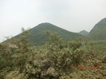 32640CIMG1759.JPG