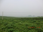 33154CIMG2391.JPG