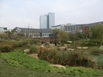39927CIMG1818.JPG