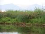 38610CIMG0142.JPG
