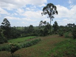 32122IMG_0103.JPG