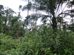 46594CIMG0883.JPG