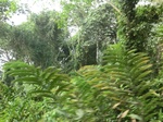 48069CIMG4406.JPG