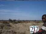 10733gt-217-wetland-dry-river-bed-01.jpg