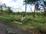 31033CIMG0895.JPG