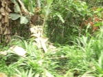 48710CIMG5047.JPG