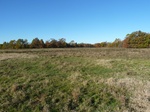 26158P1060843.JPG
