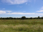 26476DSC00518.JPG