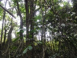 46757DSC02094.JPG