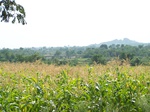 529027042008(86).JPG