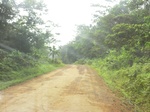 47473CIMG3810.JPG