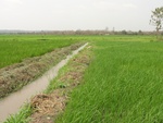 26752DSC01000.JPG