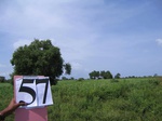 1181757-cropland-sesamum&underpreparation-a.jpg