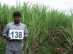 68780138b-irrigated-supplemental-major-lift-irrigation-sugarcane.jpg