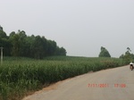 32872CIMG2006.JPG