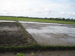 14392IMG_4734.JPG