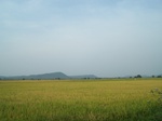 17366100_2052.JPG