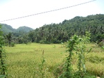 15843IMG_4384.JPG