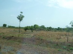 51514P1000676.JPG