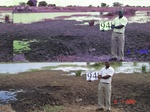 10887gt-094-wetland-dam-limpopo-02.jpg