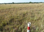 39289SEIL20110726S.JPG